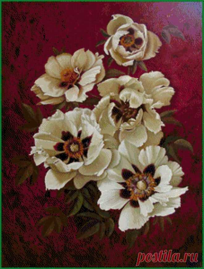 анемоны - Схемы вышивки - Anna21 - Авторы - Портал «Вышивка крестом»
