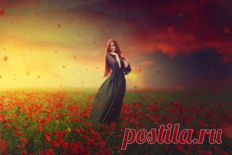 Создаём в фотошопе коллаж с девушкой среди цветов В этом уроке вы узнаете, как создать красивую эмоциональную сцену с девушкой в цветочном поле.