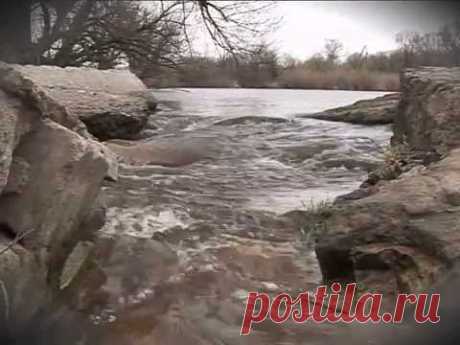 "Властелин баяна" Виктор Гридин.