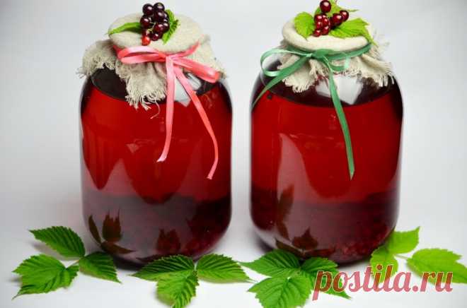 Компот из смородины и апельсина / Простые рецепты