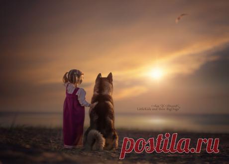 ST. BERNARD. Фотограф Андрей Селиверстов