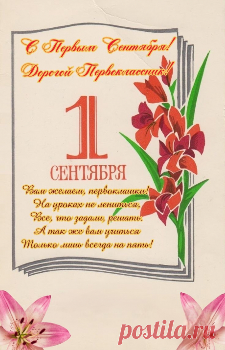 Первоклашек поздравляю!
Быть активными желаю,
На уроках не зевать,
Ничего не забывать!
