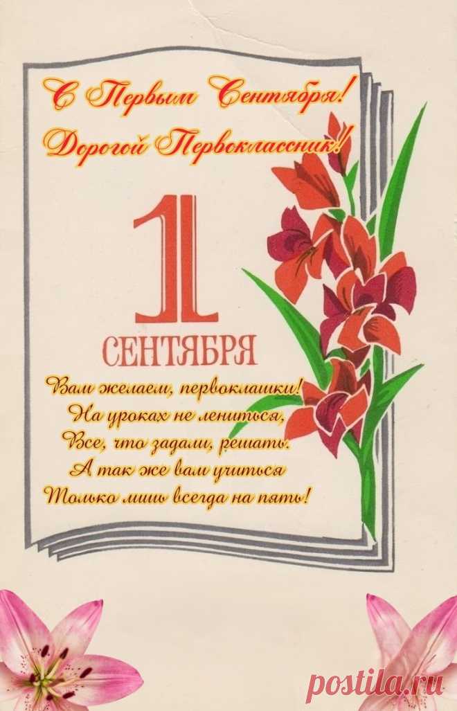 Первоклашек поздравляю!
Быть активными желаю,
На уроках не зевать,
Ничего не забывать!