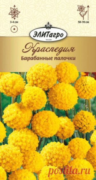 Семена. Краспедия 