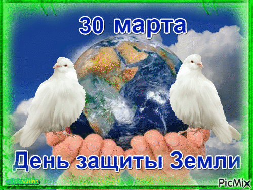 Давайте жить по совести,
Не будем эгоистами.
Сохраним Землю нашим детям,
Пусть звезды счастья и любви им светят!
