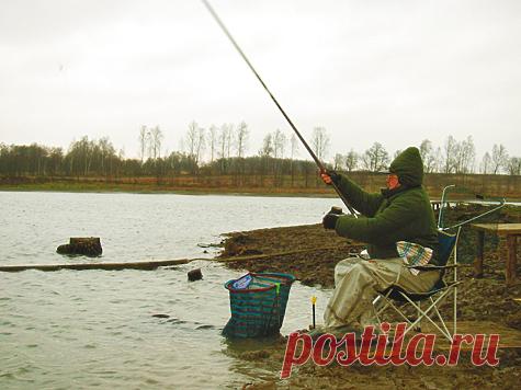 С удочкой в предзимье