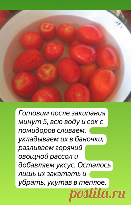 Рецепт закаток: Помидоры в заливке ( на мой взгляд вкуснее, чем в собственном соку) | Едим вместе | Яндекс Дзен