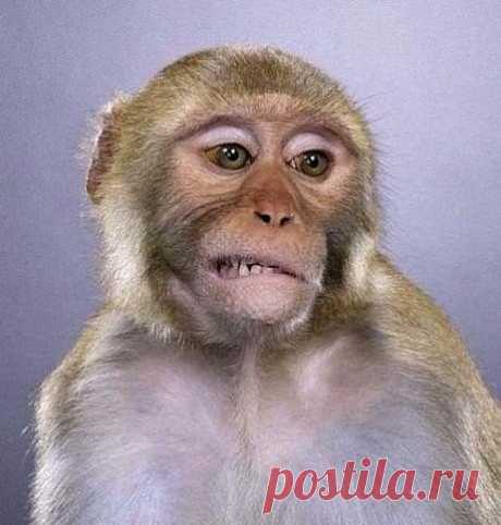 (49) Одноклассники