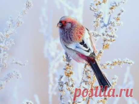 Мой Мир@Mail.Ru