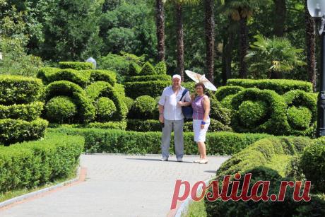 Живая изгородь для себя и для потомков / Журнал садовода Uleyskaya / 7dach.ru