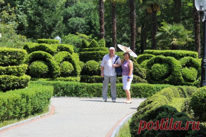 Живая изгородь для себя и для потомков / Журнал садовода Uleyskaya / 7dach.ru