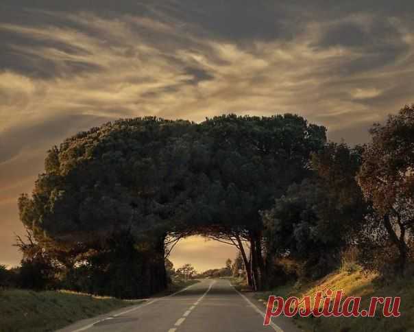 Фотографии на стене сообщества | 7 461 фотография | ВКонтакте