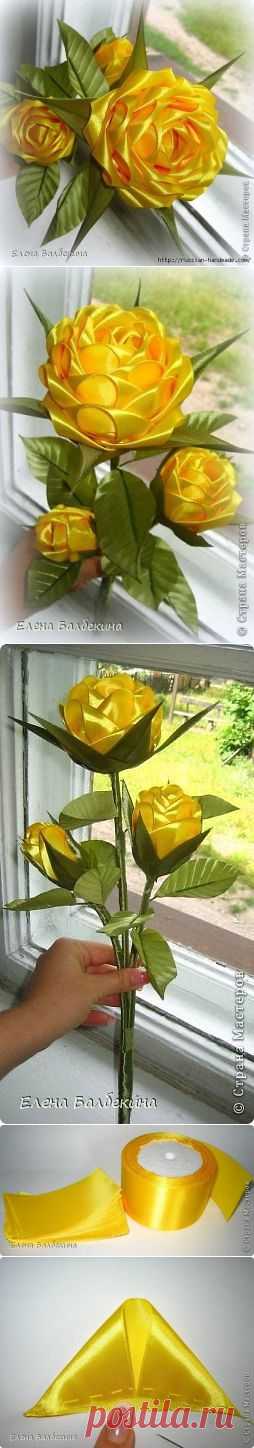 (39) Одноклассники