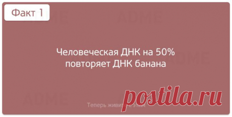 Теперь живите с этим