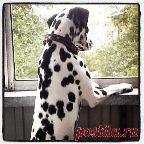 Грустно