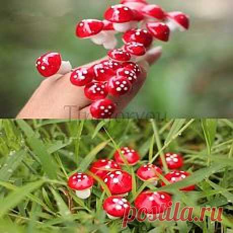 Сортовые саженцы