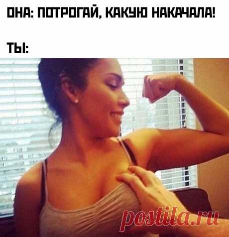 Потрогай, какую накачала... https://seoded.livejournal.com/1321707.html