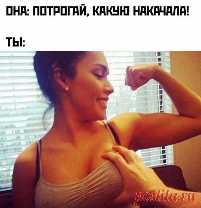 Потрогай, какую накачала... https://seoded.livejournal.com/1321707.html