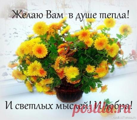 Сто друзей - свидетельство добродушия. Сто врагов - свидетельство успеха. | Юмор