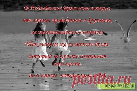 В Поднебесной Цепи есть поверье,то время, проведенное с друзьями,не засчитывается в возраст.
Так выпьем же за верного друга,который не просто сохраняет мне жизнь,но и вернул  потерянные годы.
(Алина Илларионова. Оборотни Его Величества)