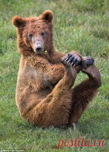 The photos were taken by wildlife photographer Marina Cano at the Cabarceno National Park in Cantabria, Spain.