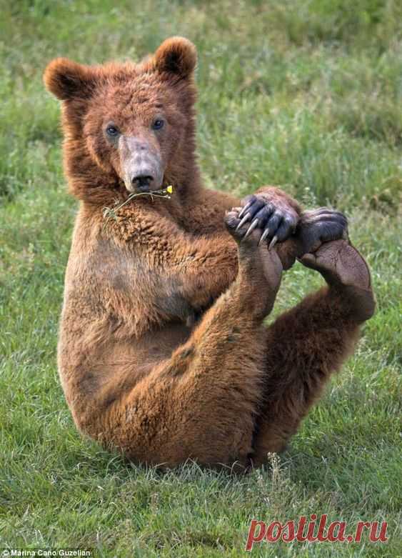 The photos were taken by wildlife photographer Marina Cano at the Cabarceno National Park in Cantabria, Spain.