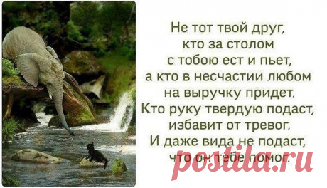 Интересные новости