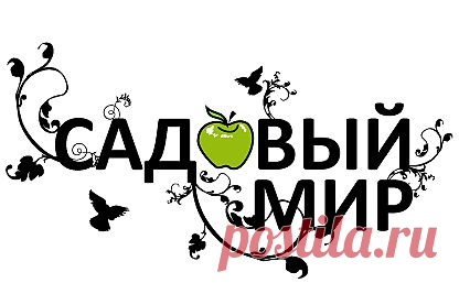 Сад