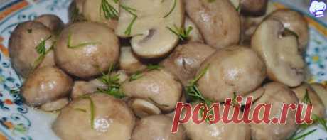 Маринованные шампиньоны за 5 минут. Быстрая и легкая закуска