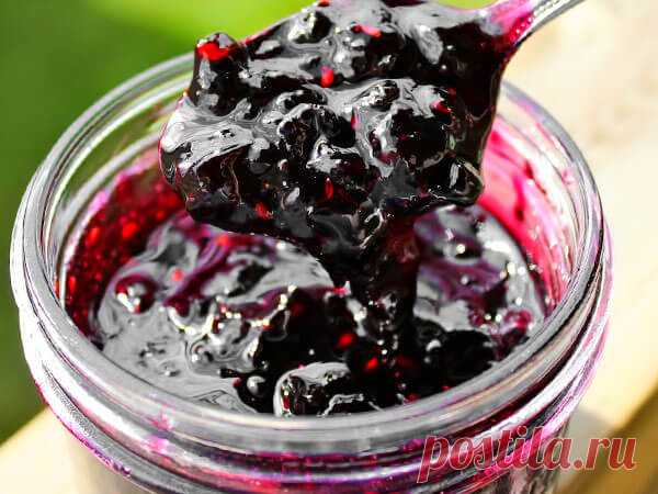 24 вкусных рецепта варенья из ирги на зиму с фото | Чудо-Повар