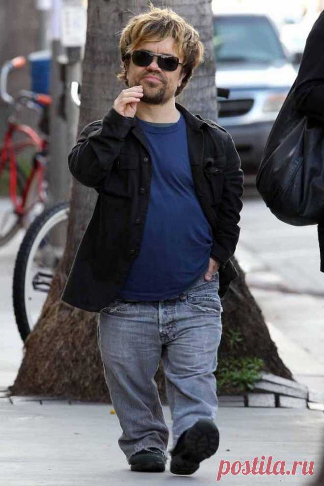 Чем карлики отличаются от лилипутов - Факты, интересные факты, познавательные статьи, цифры и новости - facte.ru