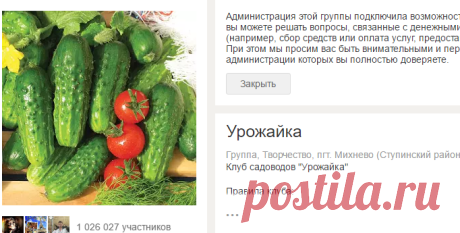 задаем вопросы - дача