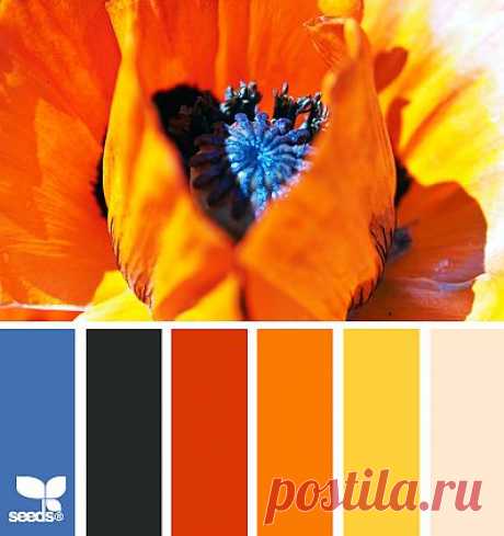 Design Seeds® | find your palette