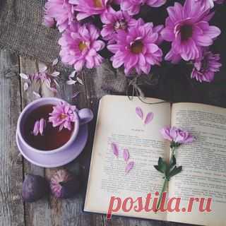 Всем хорошего и позитивного дня!