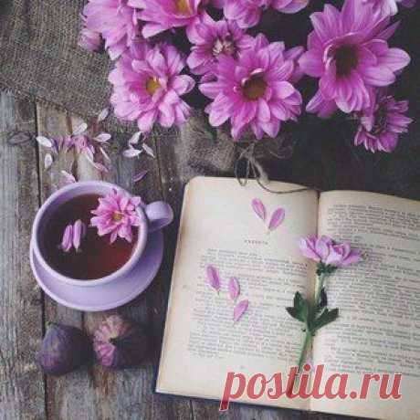 Всем хорошего и позитивного дня!