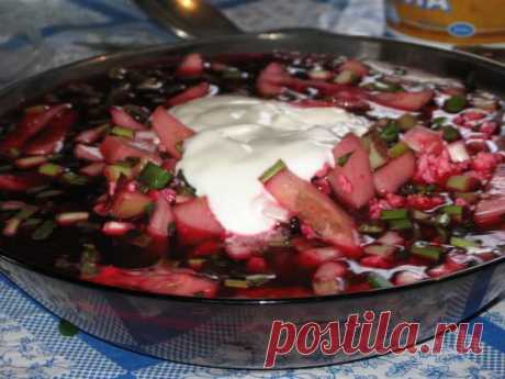 5 вкусных рецептов &quot;холодного борща&quot;. | ДОСТОЙНАЯ ЖИЗНЬ НА ПЕНСИИ