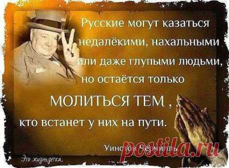 Елена Рябуха
Уинстон Черчилль знает,что говорит...