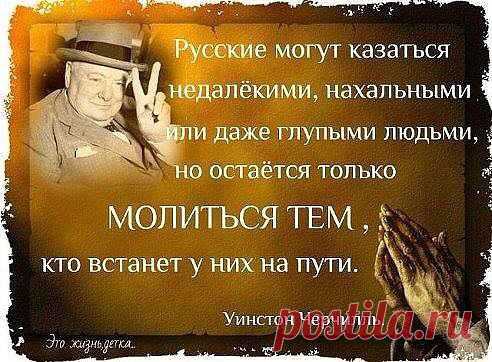 Елена Рябуха
Уинстон Черчилль знает,что говорит...
