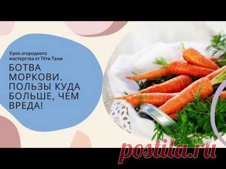 934. Ботва моркови. Польза и вред. Пользы куда больше...
