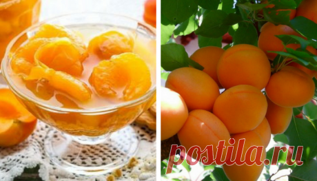 Сырое варенье из абрикосов: все витамины сохраняются на 100% — Мой милый дом