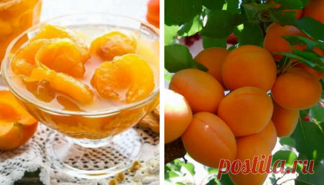 Сырое варенье из абрикосов: все витамины сохраняются на 100% — Мой милый дом
