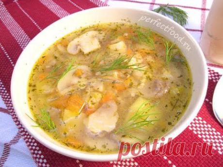Постные щи «Кисленькие» с грибами / Простые рецепты