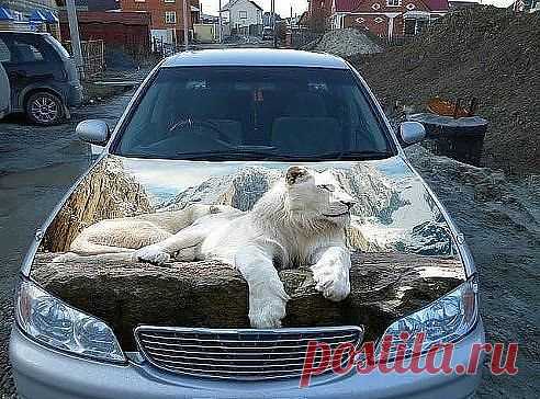 Мой Мир@Mail.Ru