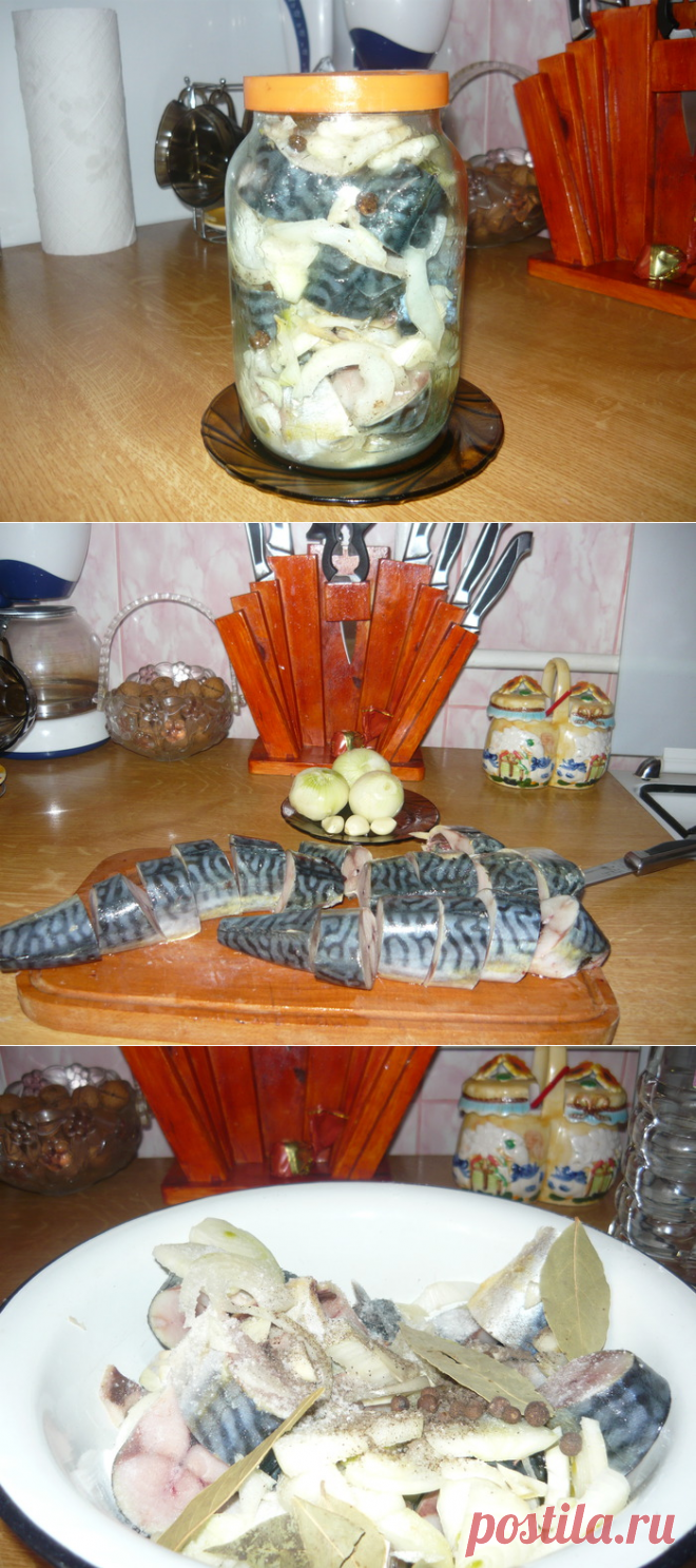 Маринуем скумбрию!Пальчики оближешь - Простые рецепты Овкусе.ру
