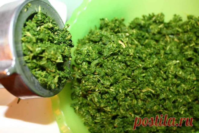 А вы заготавливайте иван-чай? Самый быстрый способ ферментации листьев и цветов | Наша Дача | Яндекс Дзен
