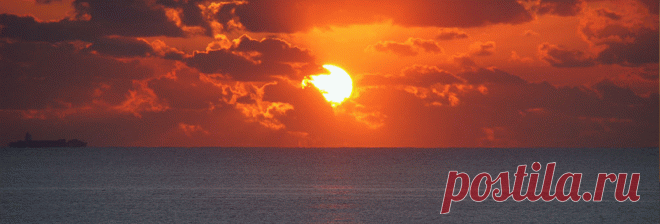 Хотите быть долгожителем? Применяйте советы японцев! Стоит взять все таки себе на заметку.