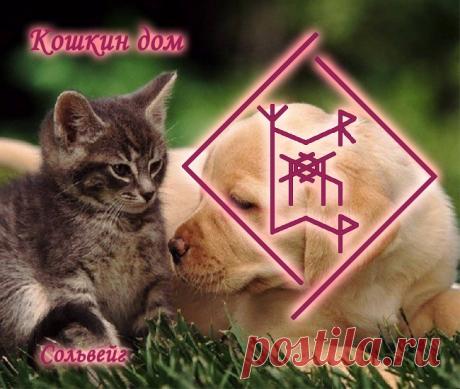 Нужно найти котятам дом. Может ли магия помочь - Вселенная тайных знаний — Руническая Магия, Таро, Клуб практиков, Черная магия и руны