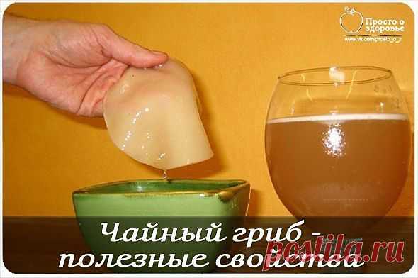 Чайный гриб - полезные свойства. Часть2... / Здоровье / Лечение народными средствами / Pinme.ru / Виктория Рокшина
