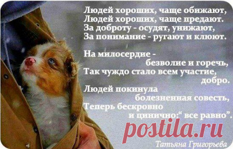 Я НЕ ЖЕЛАЮ ЗАВИСЕТЬ ОТ ГОСУДАРСТВА, КОТОРОМУ МЫ НЕ НУЖНЫ. Думаю о своем будущем и будущем своих детей. Интернет-ресурсы рассматриваю как вид успешного бизнеса и обеспечения своего материального благосостояния. Работаю 2-3 часа в день и получаю достойный заработок. Желающие обеспечить СВОЕ будущее, свою пенсию, а также свой бизнес передать по наследству, ставьте +++ в комментариях или пишите в личку поделюсь информацией.