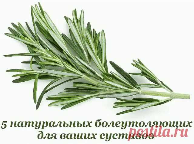 (1) Одноклассники